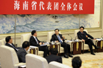 张德江参加海南代表团审议