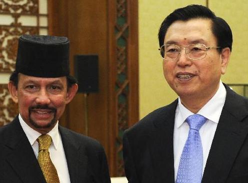 张德江会见文莱苏丹哈桑纳尔