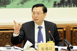 张德江参加十二届全国人大常委会第二次会议分组审议