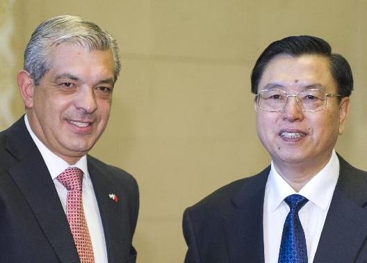 张德江会见阿根廷众议院议长多明格斯