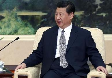 习近平会见红十字国际委员会主席莫雷尔