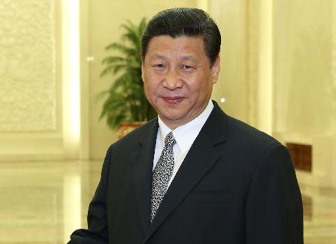 习近平会见莫桑比克总统格布扎