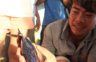 海南赴南沙捕捞船队抵作业海区 船员钓到奇怪海鱼