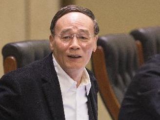 王岐山在武汉主持召开部分省市纪委书记座谈会