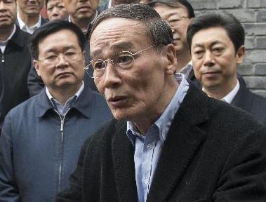 王岐山在湖北省调研