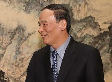 王岐山会见缅甸联邦巩固与发展党干部考察团