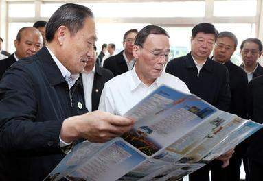 王岐山在山东考察