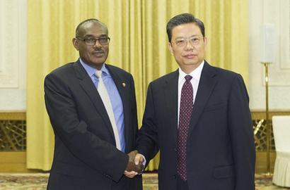 赵乐际会见苏丹客人