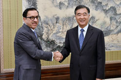 汪洋会见卡塔尔客人