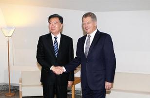 汪洋会见芬兰总统尼尼斯特