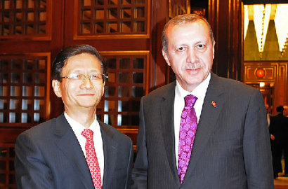 土耳其总统埃尔多安会见孟建柱