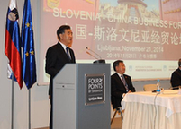 汪洋出席中斯经贸论坛并发表演讲