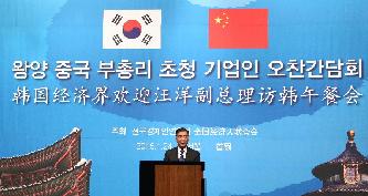 汪洋：中国经济发展进入新阶段　中韩务实合作前景光明