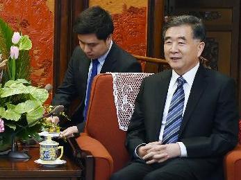 汪洋会见英国客人