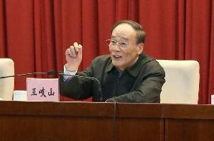 王岐山出席中央巡视工作动员部署会并讲话