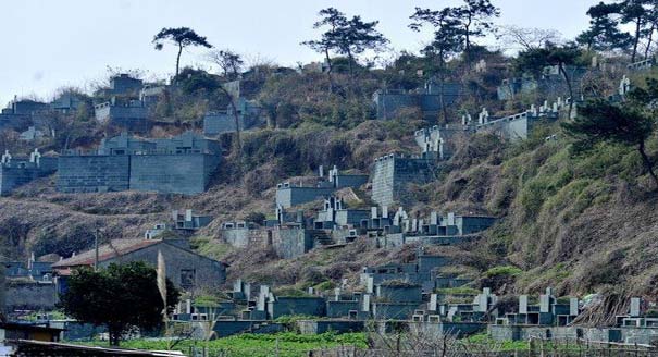 浙江绍兴一墓群为复绿遭刷漆