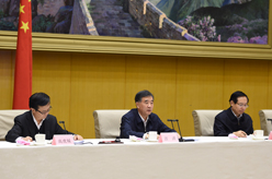 汪洋出席全国打击侵权假冒工作电视电话会议