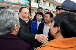 王岐山在河南调研