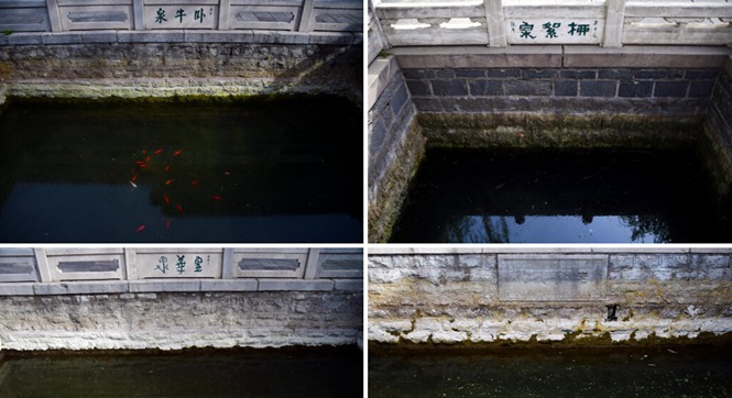 济南：泉群告急72名泉已停喷17个