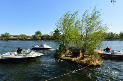 北京野鸭岛被大风吹&ldquo;散&rdquo;