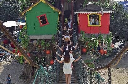 重庆"最牛树屋"开门迎客