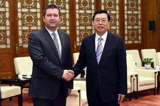 张德江会见捷克众议长、社民党副主席哈马切克