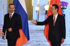 张高丽与俄罗斯副总理德沃尔科维奇举行中俄能源合作委员会双方主席会晤