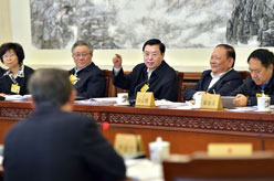 张德江参加十二届全国人大常委会第十四次会议分组审议