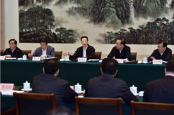 张高丽在湖北武汉调研推进长江经济带建设工作