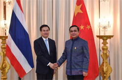 泰国总理巴育会见杨晶