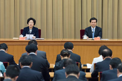 孙春兰出席中央统战工作会议并讲话