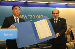 汪洋副总理出席联合国粮农组织&ldquo;反饥饿杰出进展&rdquo;特别活动并会见联合国粮农机构负责人