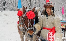 黑龙江森工转型：消失在黑土地上的伐木声（上）