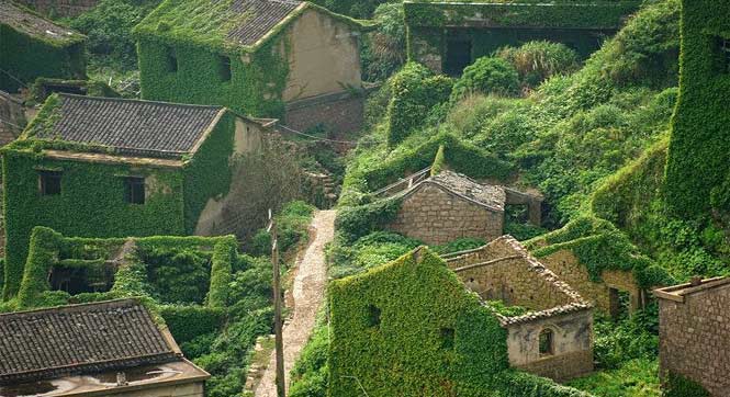 浙江舟山一荒废海岛宛如绿色童话世界