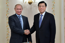 张德江会见普京