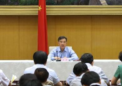 汪洋出席全国加强食品安全工作电视电话会议并讲话