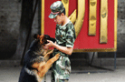 全国公安边防部队警犬训导员培训班开班