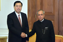 张德江会见印度总统慕克吉