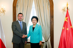 刘延东会见捷克众议长哈马切克