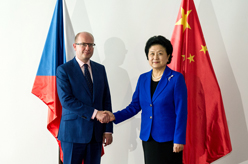 刘延东与捷克总理索博特卡举行会谈