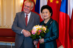 刘延东会见捷克总统泽曼