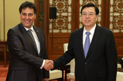 张德江会见斯洛文尼亚国民委员会主席