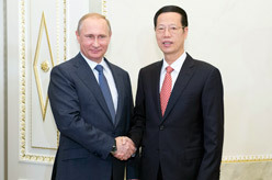 张高丽会见俄罗斯总统普京