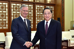 俞正声会见比利时国王菲利普