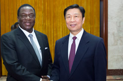 李源潮与津巴布韦副总统会谈
