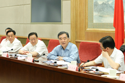 汪洋主持召开全国打击侵权假冒工作领导小组第八次全体会议