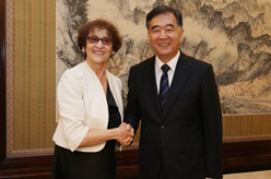 汪洋会见美国客人