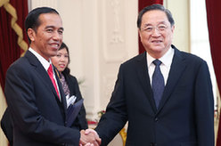 俞正声会见印尼总统