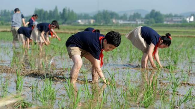 教育部：中小学生劳动情况将记入综合素质档案