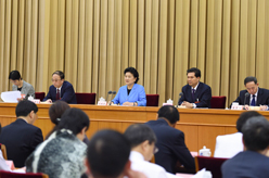 刘延东出席第六次全国民族教育工作会议并讲话